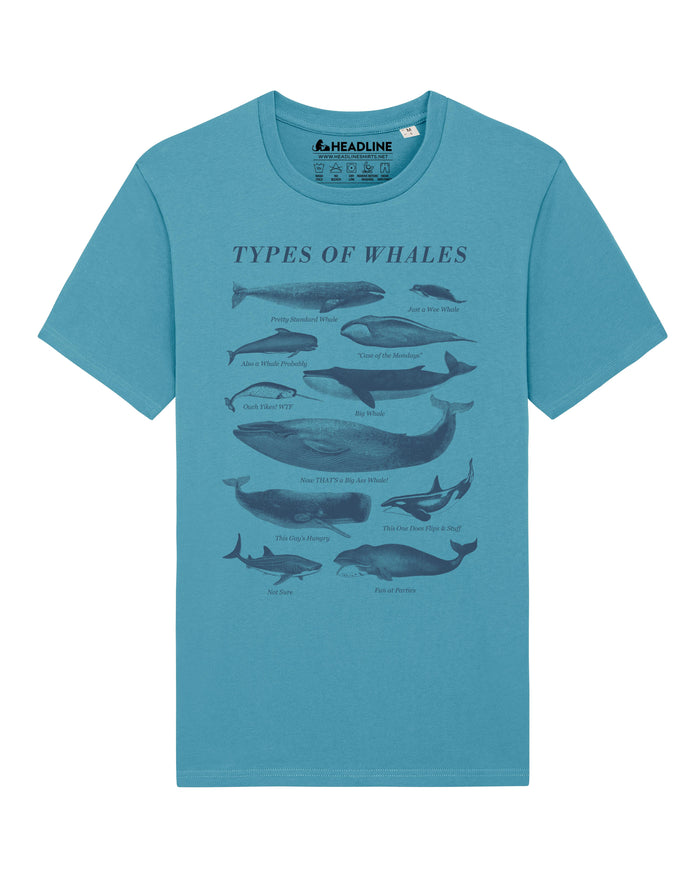 Types of whales